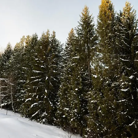בית נופש V Oravskom Zatisi *