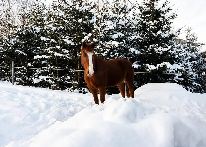 V Oravskom Zátiší Сasa de vacaciones *