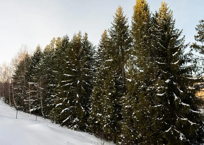 Сasa de vacaciones V Oravskom Zátiší *